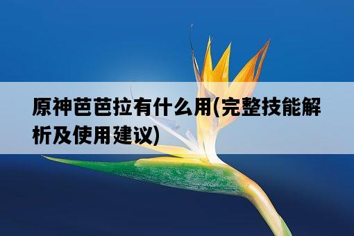 原神芭芭拉有什么用，完整技能解析及使用建議-圖1