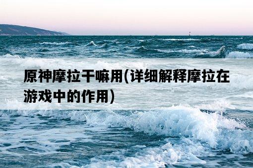 原神摩拉干嘛用，詳細解釋摩拉在游戲中的作用-圖1