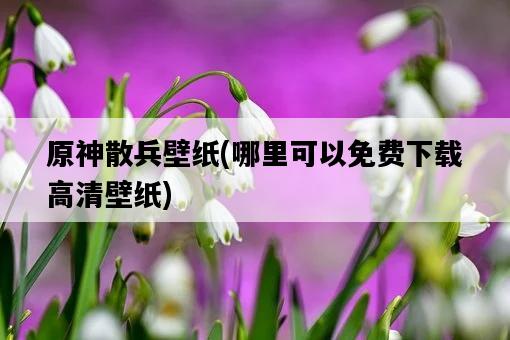 原神散兵壁紙，哪里可以免費下載高清壁紙-圖1