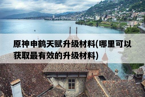 原神申鶴天賦升級材料，哪里可以獲取最有效的升級材料-圖1