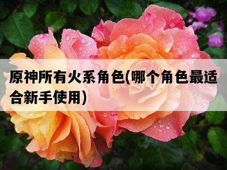 原神所有火系角色，哪個角色最適合新手使用-圖1