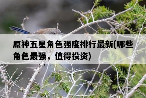 原神五星角色強度排行最新，哪些角色最強，值得投資-圖1