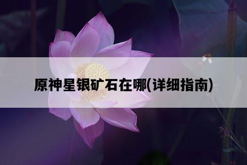 原神星銀礦石在哪，詳細指南-圖1