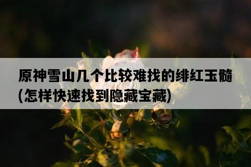 原神雪山幾個比較難找的緋紅玉髓，怎樣快速找到隱藏寶藏-圖1