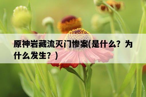 原神巖藏流滅門慘案，是什么？為什么發生？-圖1