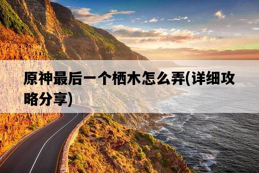 原神最后一個棲木怎么弄，詳細攻略分享-圖1