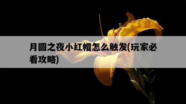 月圓之夜小紅帽怎么觸發，玩家必看攻略-圖1