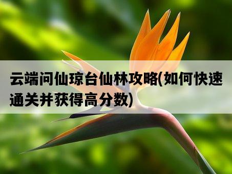 云端問仙瓊臺仙林攻略，如何快速通關并獲得高分數-圖1