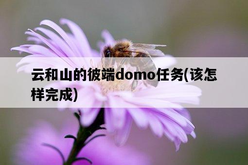 云和山的彼端domo任務，該怎樣完成-圖1