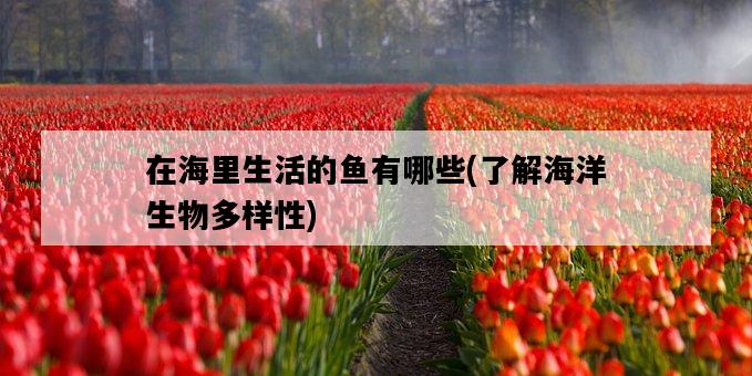 在海里生活的魚有哪些，了解海洋生物多樣性-圖1