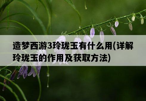 造夢西游3玲瓏玉有什么用，詳解玲瓏玉的作用及獲取方法-圖1