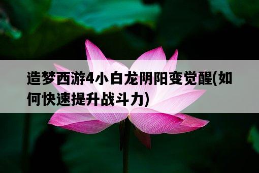 造夢西游4小白龍陰陽變覺醒，如何快速提升戰斗力-圖1