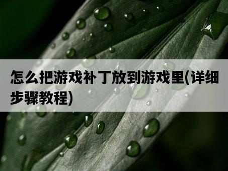 怎么把游戲補丁放到游戲里，詳細步驟教程-圖1
