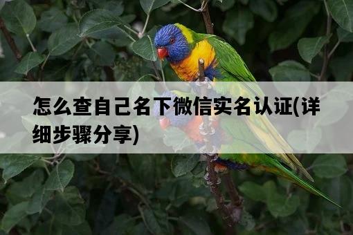 怎么查自己名下微信實名認證，詳細步驟分享-圖1