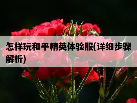 怎樣玩和平精英體驗服，詳細步驟解析-圖1