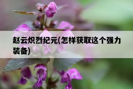 趙云熾烈紀元，怎樣獲取這個強力裝備-圖1
