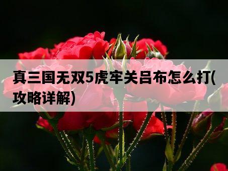真三國無雙5虎牢關呂布怎么打，攻略詳解-圖1