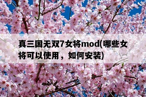 真三國無雙7女將mod，哪些女將可以使用，如何安裝-圖1