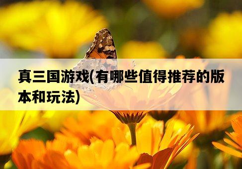 真三國游戲，有哪些值得推薦的版本和玩法-圖1