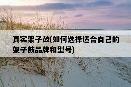 真實架子鼓，如何選擇適合自己的架子鼓品牌和型號-圖1