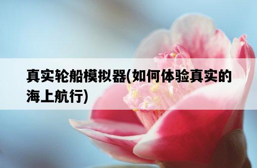 真實輪船模擬器，如何體驗真實的海上航行-圖1
