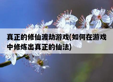 真正的修仙渡劫游戲，如何在游戲中修煉出真正的仙法-圖1