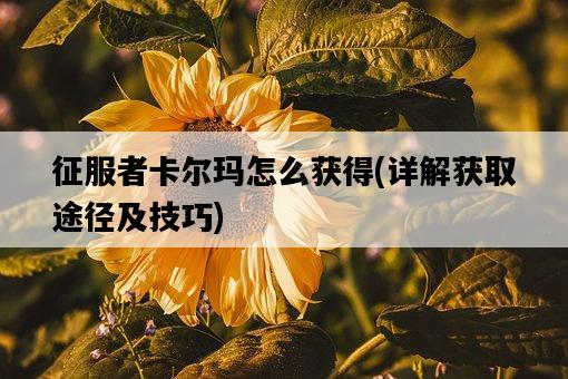 征服者卡爾瑪怎么獲得，詳解獲取途徑及技巧-圖1