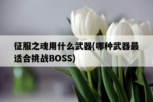 征服之魂用什么武器，哪種武器最適合挑戰BOSS-圖1