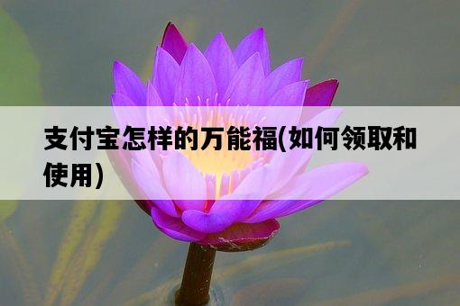 支付寶怎樣的萬能福，如何領取和使用-圖1