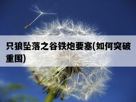 只狼墜落之谷鐵炮要塞，如何突破重圍-圖1