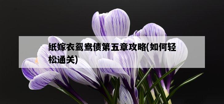 紙嫁衣鴛鴦債第五章攻略，如何輕松通關-圖1