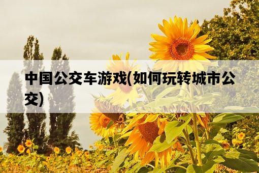 中國公交車游戲，如何玩轉城市公交-圖1