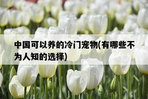 中國可以養的冷門寵物，有哪些不為人知的選擇-圖1