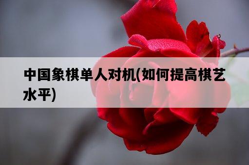 中國象棋單人對機，如何提高棋藝水平-圖1