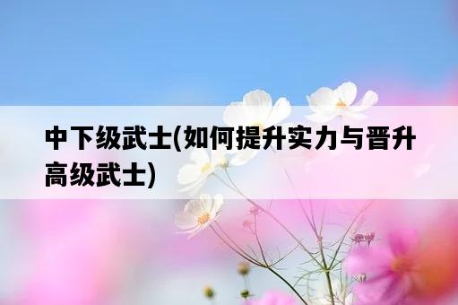 中下級武士，如何提升實力與晉升高級武士-圖1