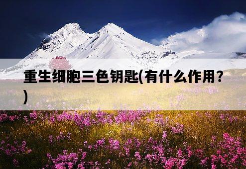 重生細胞三色鑰匙，有什么作用？-圖1
