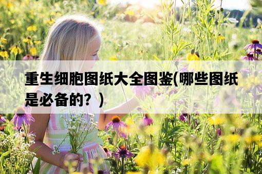 重生細胞圖紙大全圖鑒，哪些圖紙是必備的？-圖1