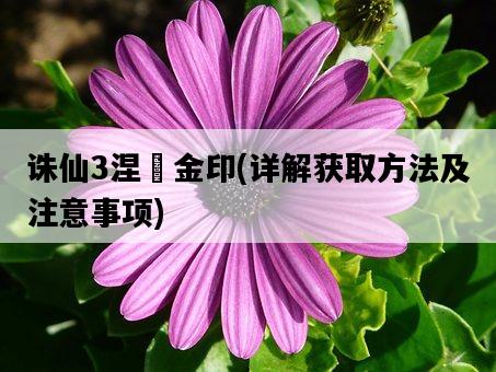 誅仙3涅槃金印，詳解獲取方法及注意事項-圖1