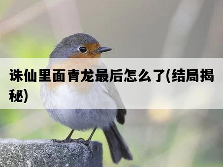誅仙里面青龍最后怎么了，結局揭秘-圖1