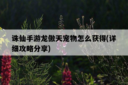 誅仙手游龍傲天寵物怎么獲得，詳細攻略分享-圖1