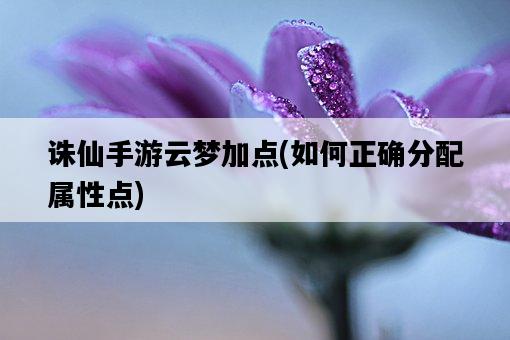 誅仙手游云夢加點，如何正確分配屬性點-圖1
