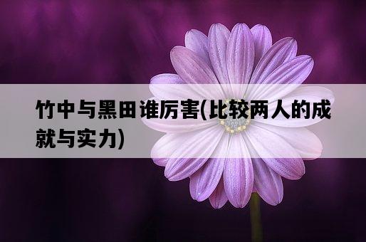 竹中與黑田誰厲害，比較兩人的成就與實力-圖1