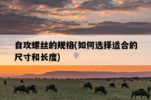 自攻螺絲的規格，如何選擇適合的尺寸和長度-圖1
