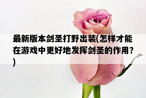 最新版本劍圣打野出裝，怎樣才能在游戲中更好地發揮劍圣的作用？-圖1