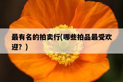 最有名的拍賣行，哪些拍品最受歡迎？-圖1