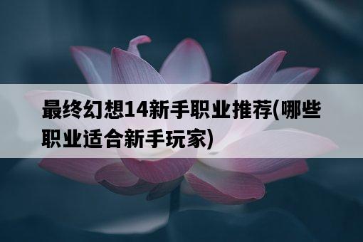 最終幻想14新手職業推薦，哪些職業適合新手玩家-圖1