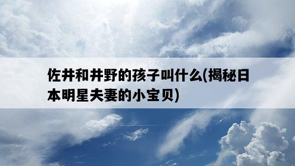 佐井和井野的孩子叫什么，揭秘**明星夫妻的小寶貝-圖1