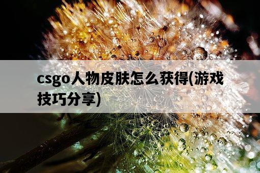 csgo人物皮膚怎么獲得，游戲技巧分享-圖1