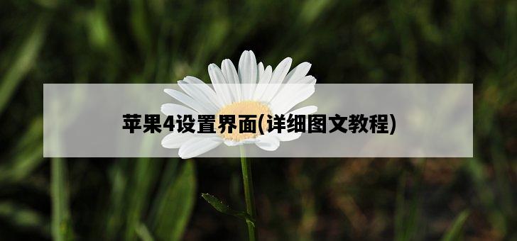 蘋果4設置界面，詳細圖文教程-圖1