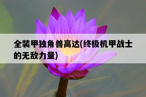 全裝甲獨角獸高達，終極機甲戰士的無敵力量-圖1